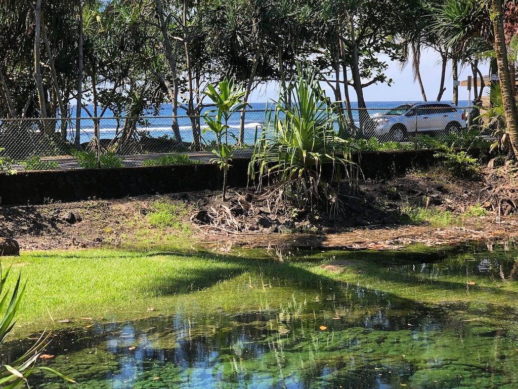 Privathaus auf der anderen Straßenseite vom Strand entfernt. Nur wenige Minuten von der Innenstadt von Hilo entfernt in Hilo, South Hilo