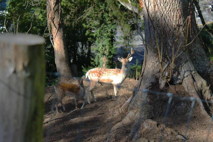 Location de vacances pour 4 personnes, avec vue et jardin dans Sougné-Remouchamps