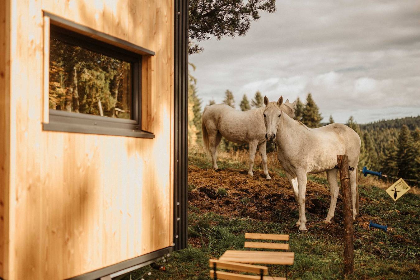 Homnest ※ L'Instant Sauvage ※ Vue Cimes & Forêt in Riotord, Alto Loira