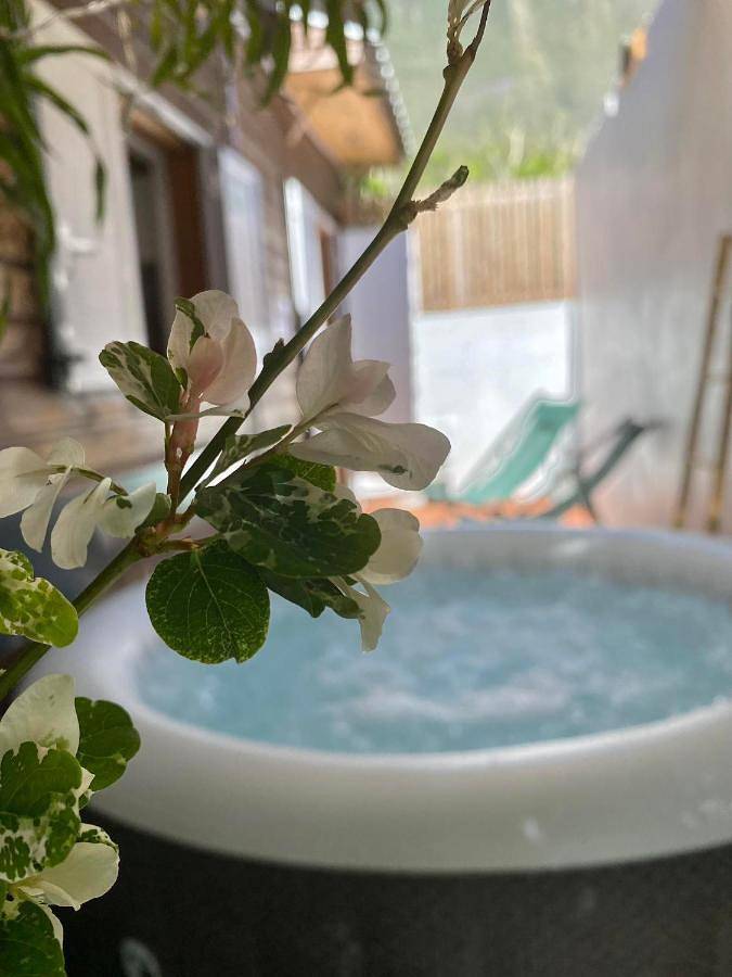 Location de vacances pour 7 personnes, avec jardin et vue, animaux acceptés dans Palmiste Rouge - 4