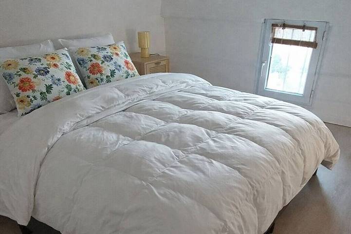 Lovely vacation rental in the Var, at besse sur Issole, near Toulon in Besse-sur-Issole, Mittelmeerküste (Frankreich)