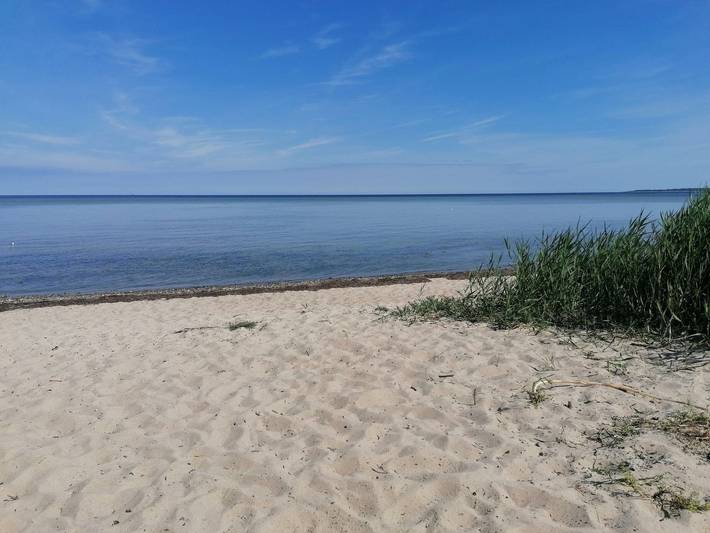 Ferienhaus für 4 Personen, mit Terrasse und Garten auf Insel Poel - 2