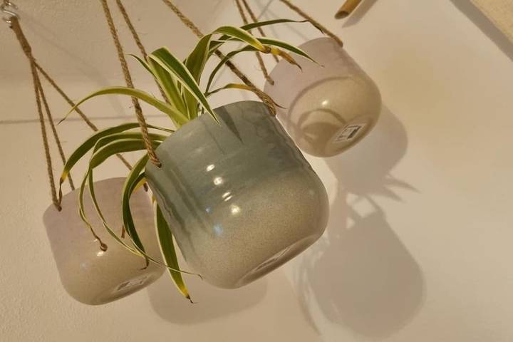 Gîte pour 2 personnes, animaux acceptés à Alter do Chão - 4