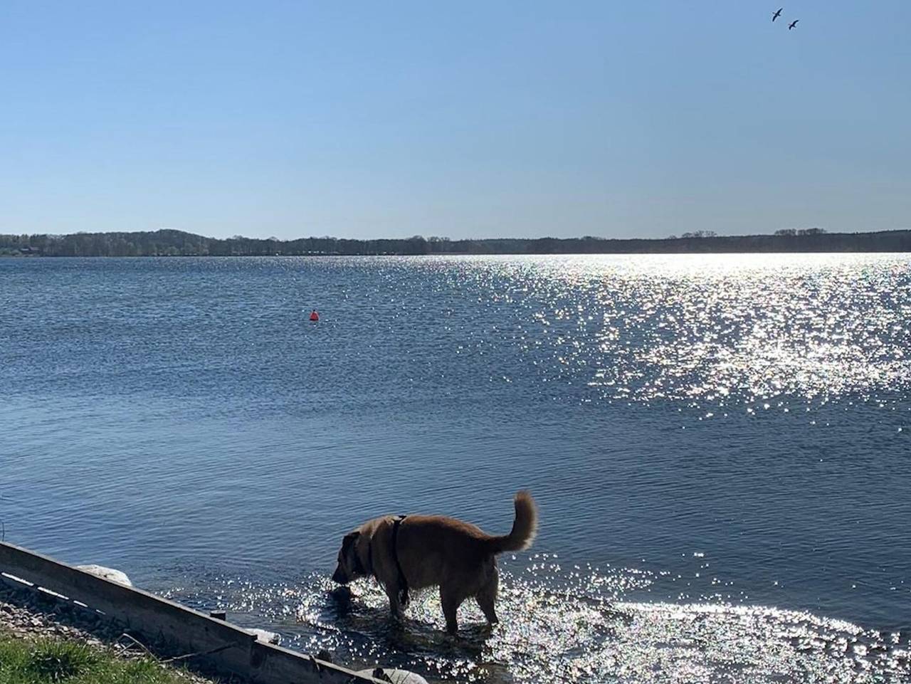 Ganze Ferienwohnung, Ferienwohnungen Labud 25 - Ferienwohnung Labud 25 in Bosau, Ostholstein