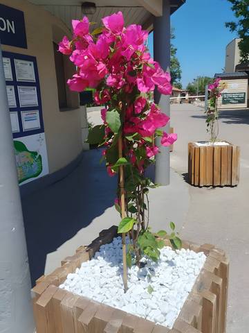 Camping pour 6 Personnes dans Torreilles, Région de Perpignan, Photo 4