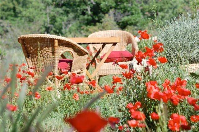 Maison d’hôte pour 2 personnes, avec terrasse ainsi que vue et jardin à Plan-d'Aups-Sainte-Baume