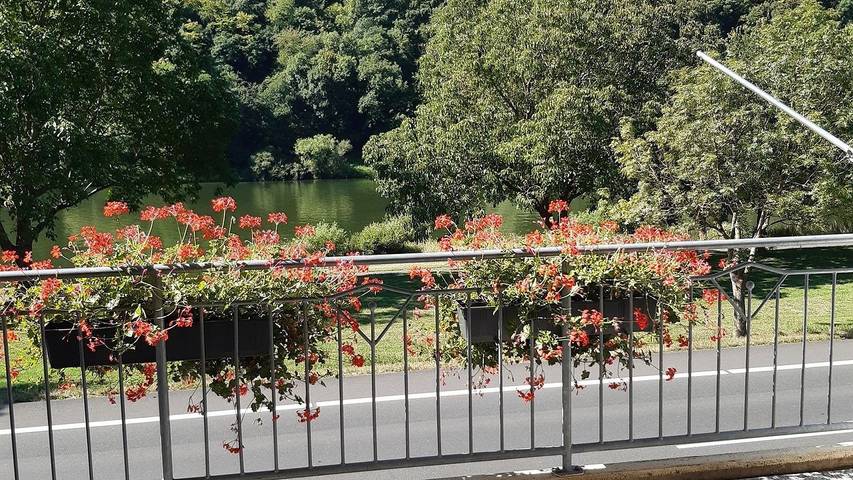 Ferienwohnung für 2 Personen, mit Balkon in Ediger-Eller - 4