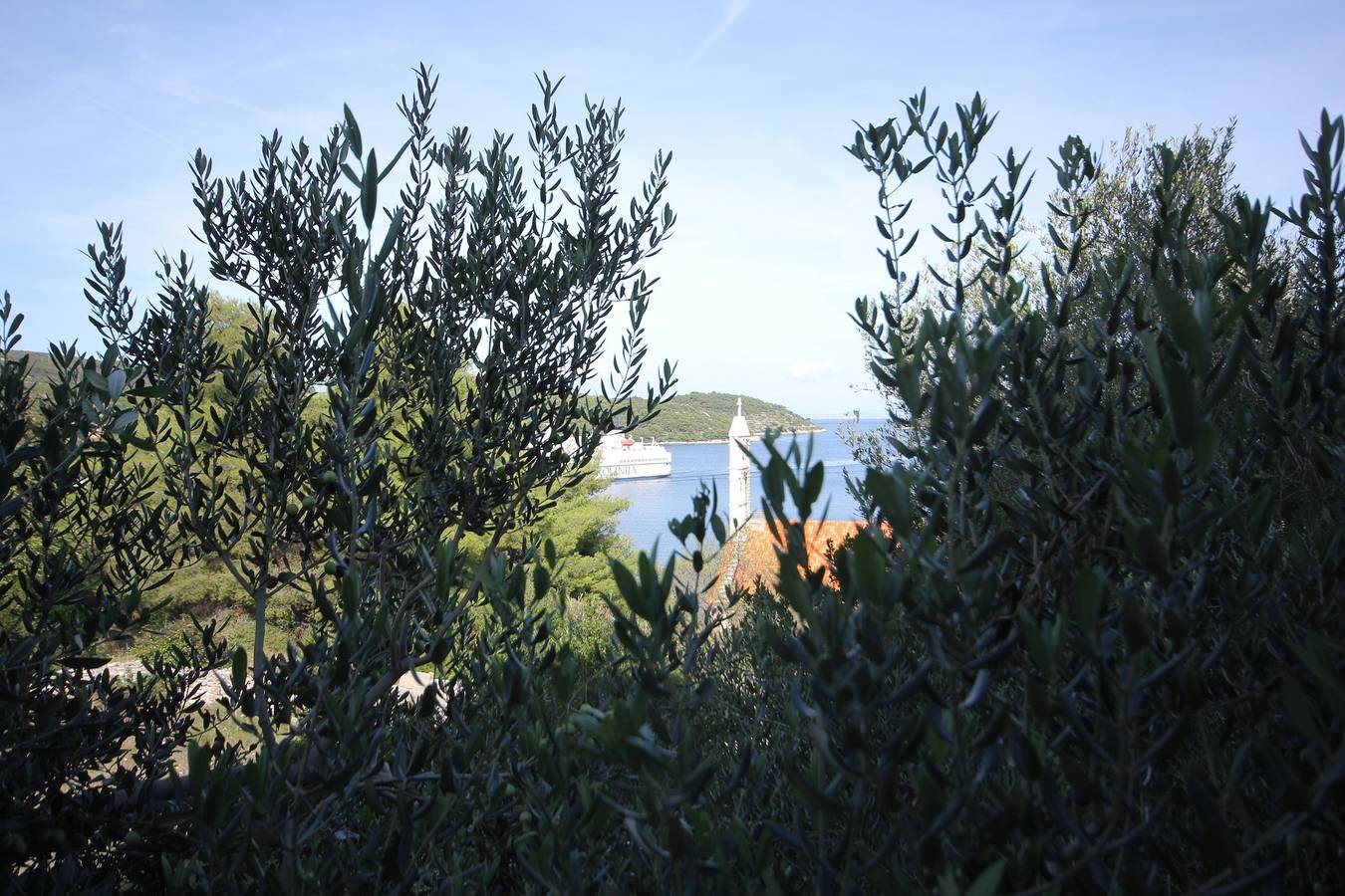 Hel leilighet, Apartments by the sea Vis - 2470 in Vis (By), Vis Kroatia