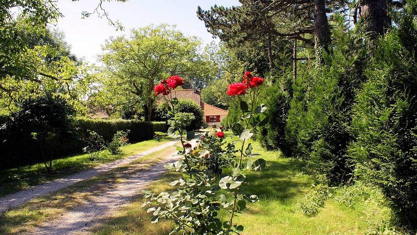 Location de vacances pour 3 personnes, avec jardin à Ardres - 2