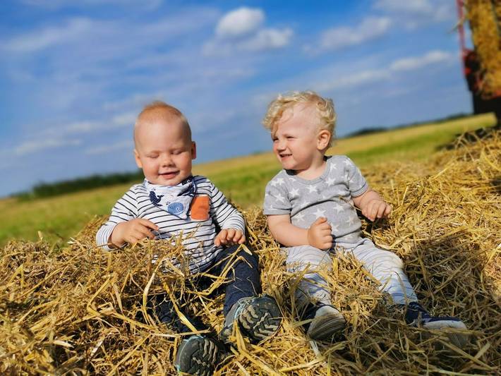 Bauernhof für 4 Personen, mit Garten in Tönning - 3