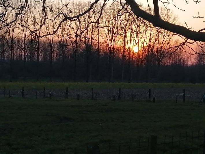 Chambre d’hôte pour 2 personnes, avec terrasse, animaux acceptés à Hasselt - 4