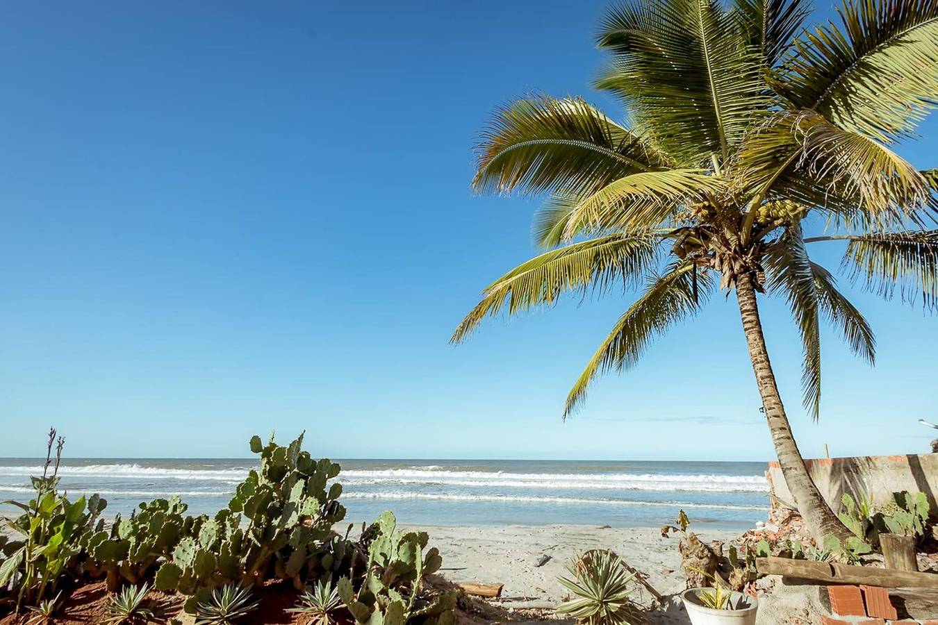 Casa pet-friendly com piscina de frente para o mar in Ilhéus, Costa das Baleias