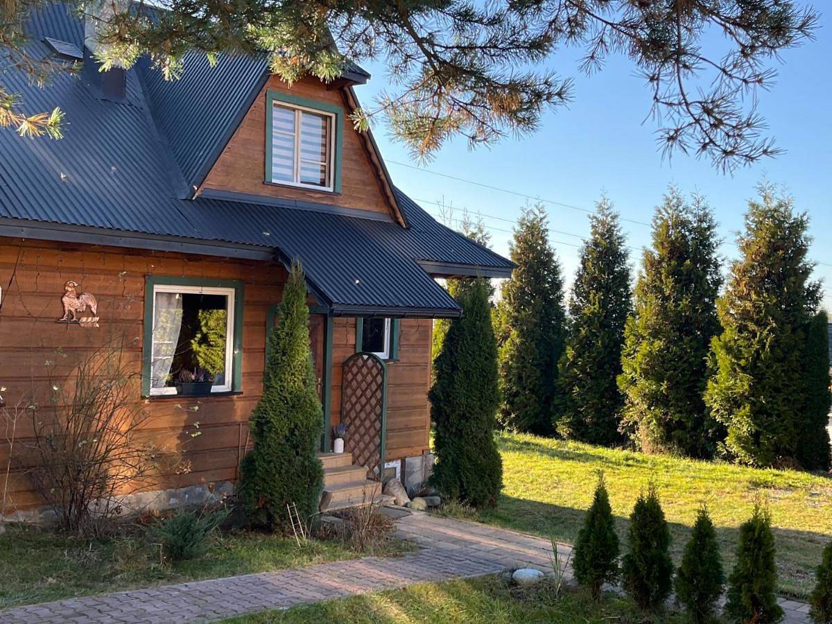Domek Pod Kogutkiem Na Dolinie in Bukowina Tatrzańska, Karpaty (Polska)