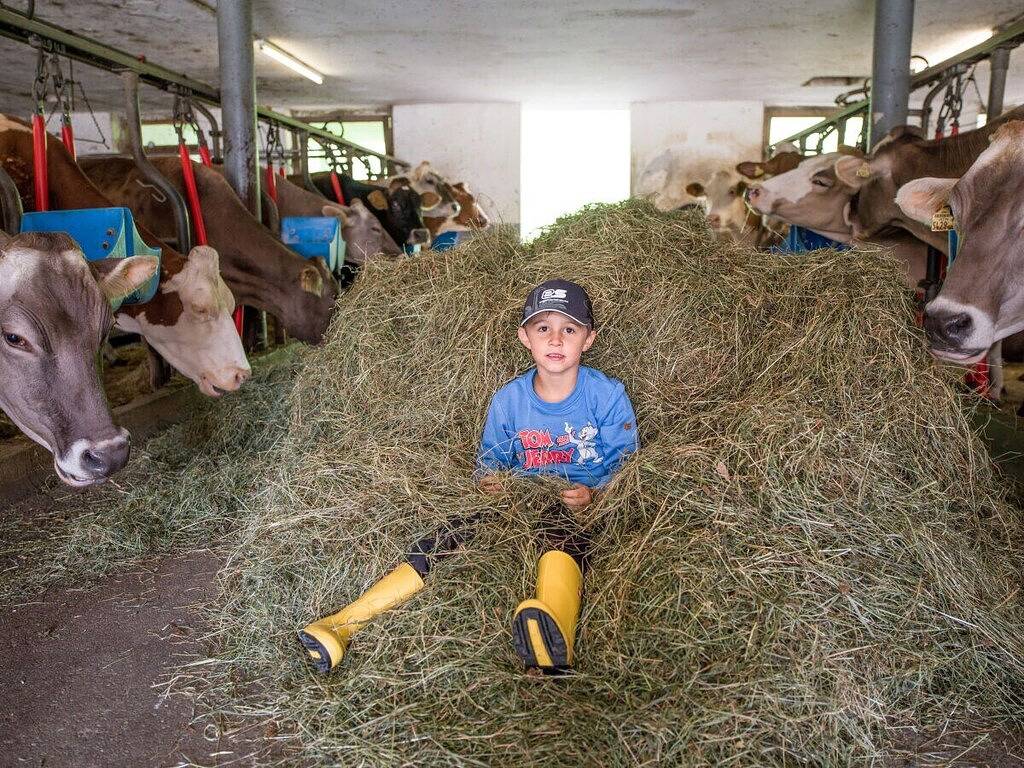 Sonnblick im Huaterhof in Tuxer Alpen, Zellberg
