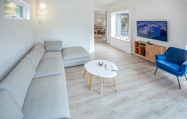 Ferienhaus für 12 Personen, mit Terrasse und Pool sowie Sauna in Djursland - 4