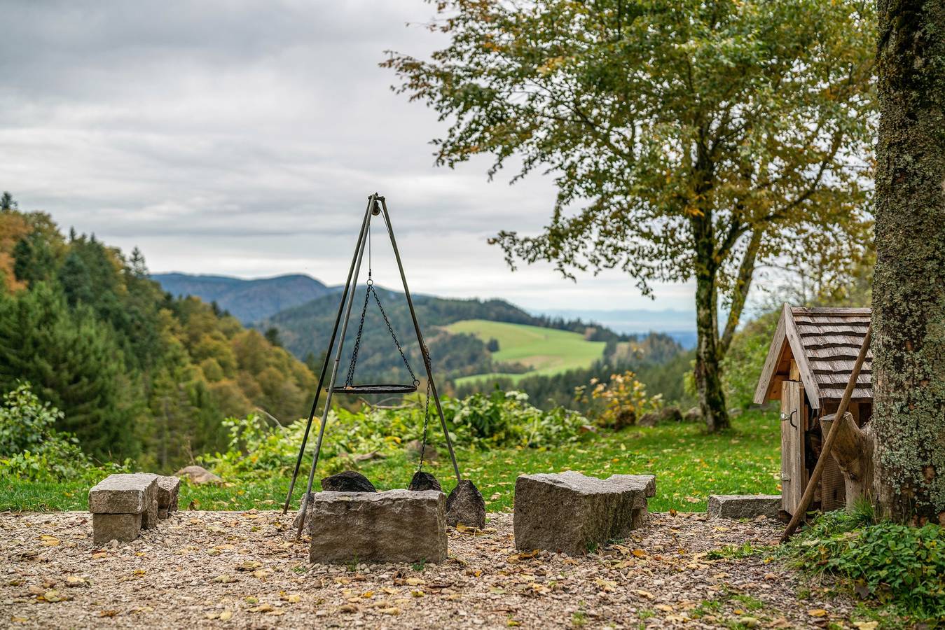 Ganze Wohnung, Ferienwohnung 'Schwarzwald Chalet - Karlshütte' mit Bergblick, privater Terrasse und Wlan in Gütenbach, Südschwarzwald