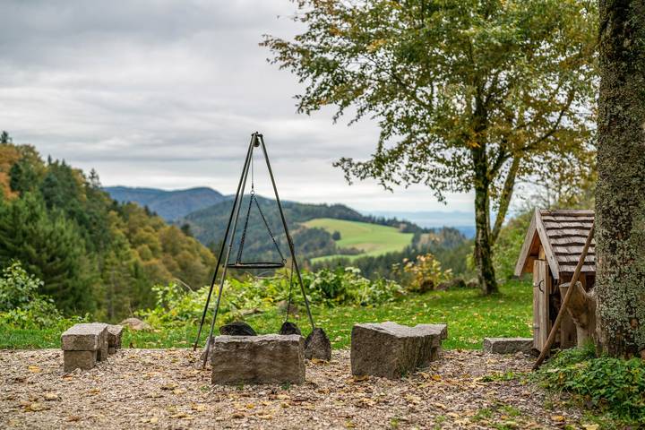 Chalet pour 9 personnes, avec jardin dans la Forêt-Noire - 4