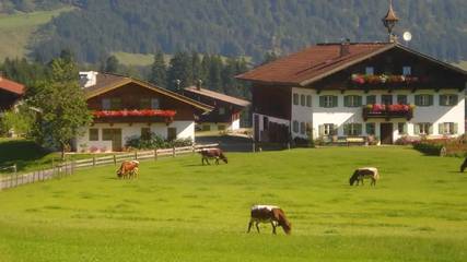 Bauernhof für 5 Personen in Kössen, Kaiserwinkl, Bild 2