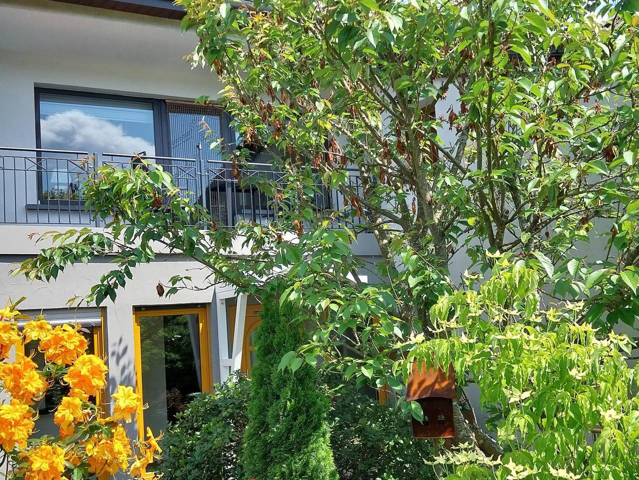 Ganze Ferienwohnung, Ferienwohnung Bliestalglück - Ferienwohnung Bliestalglück in Oberthal, Saar-Nahe-Bergland