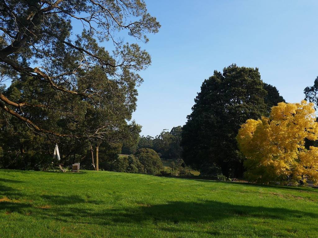 The Otway Haven - Regenwald, Natur und Entspannung. in Wye River, Colac Otway Shire