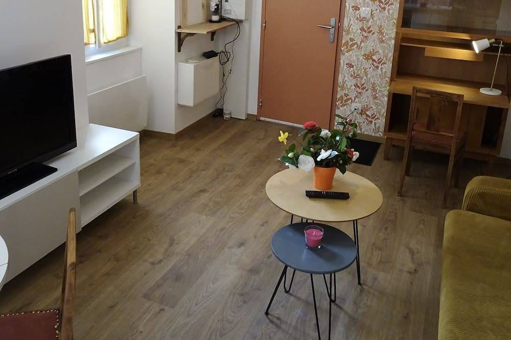 Entire apartment, Quiet apartment at the foot of the castle! promenade along the river gave, pking 5 mn in Pau, Béarn