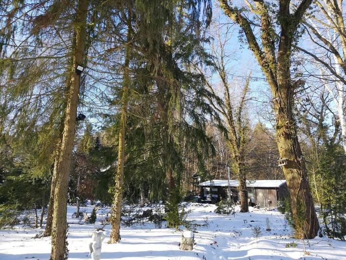 Ferienhaus für 2 Personen, mit Terrasse und Garten sowie Sauna und Ausblick in Storkow - 4
