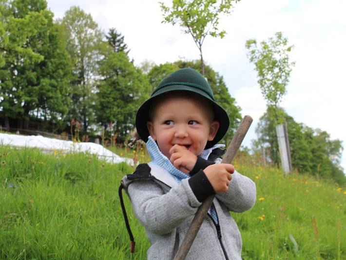 Bauernhaus für 3 Personen, mit Garten und Pool sowie Balkon, kinderfreundlich in Schladming-Dachstein - 3