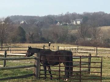 Barn for 6 Guests in Darnestown, Maryland, Picture 1