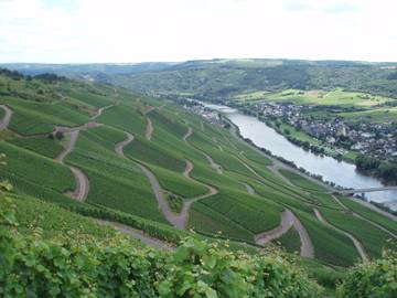 Bauernhof für 2 Personen in Kinheim, Moseleifel, Bild 2