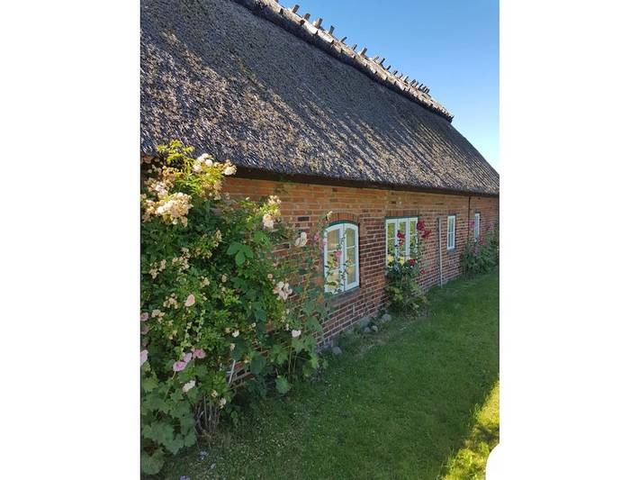 Ferienhaus für 4 Personen, mit Garten in Dollerup - 3