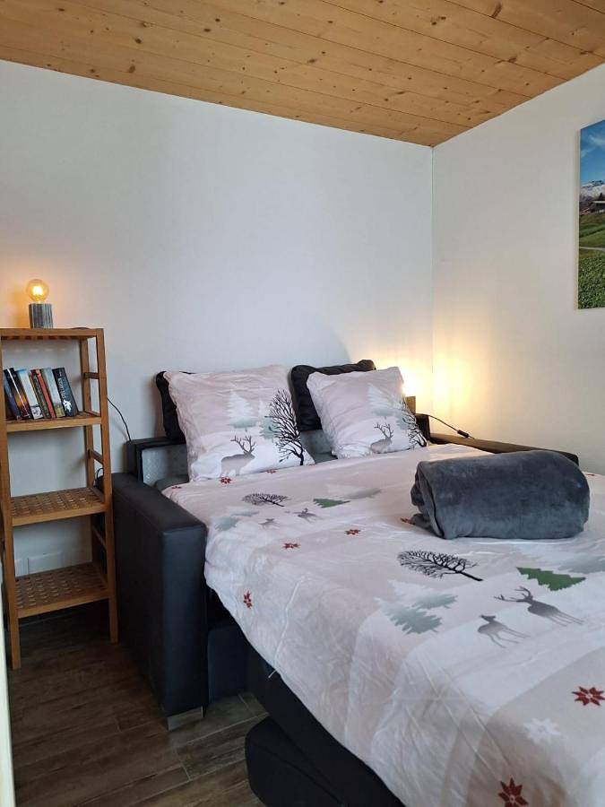 Ferienwohnung für 6 Personen, mit Terrasse und Ausblick in Safiental - 4
