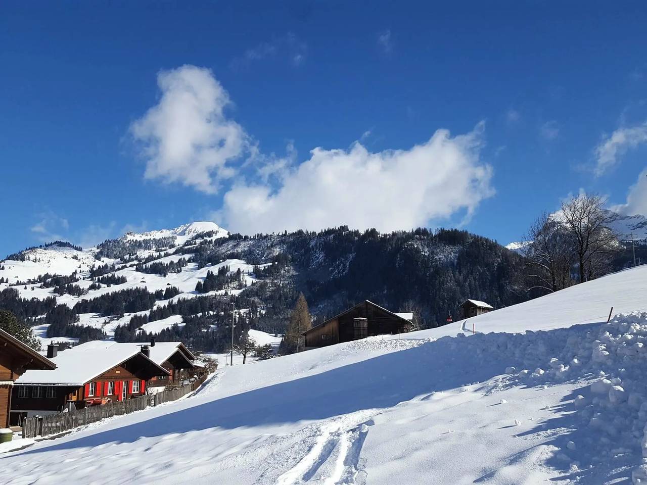 Ganze Wohnung, 4 Pièces 7 Personnes in Saanenmöser, Zweisimmen