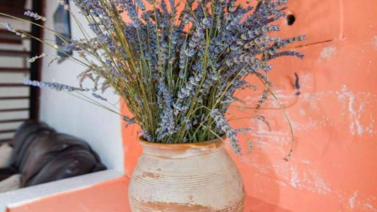 Ganze Ferienwohnung, Ferienwohnung für 4 Personen (80 m²) in Veli Lošinj in Veli Losinj, Kvarner Inseln