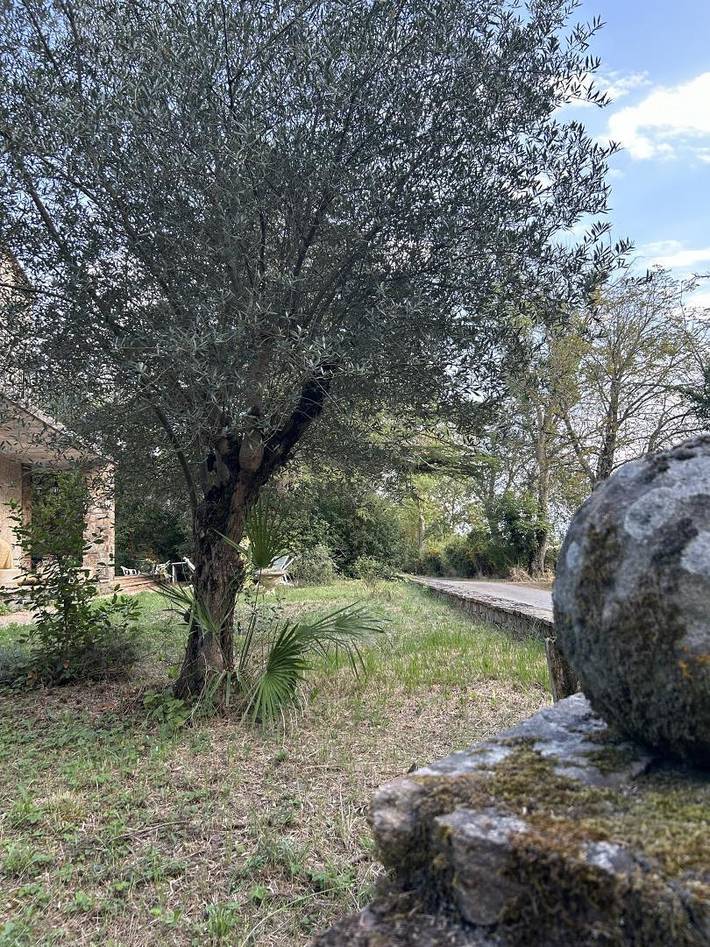 Gîte pour 15 personnes, avec piscine ainsi que terrasse et jardin à Villasavary - 4