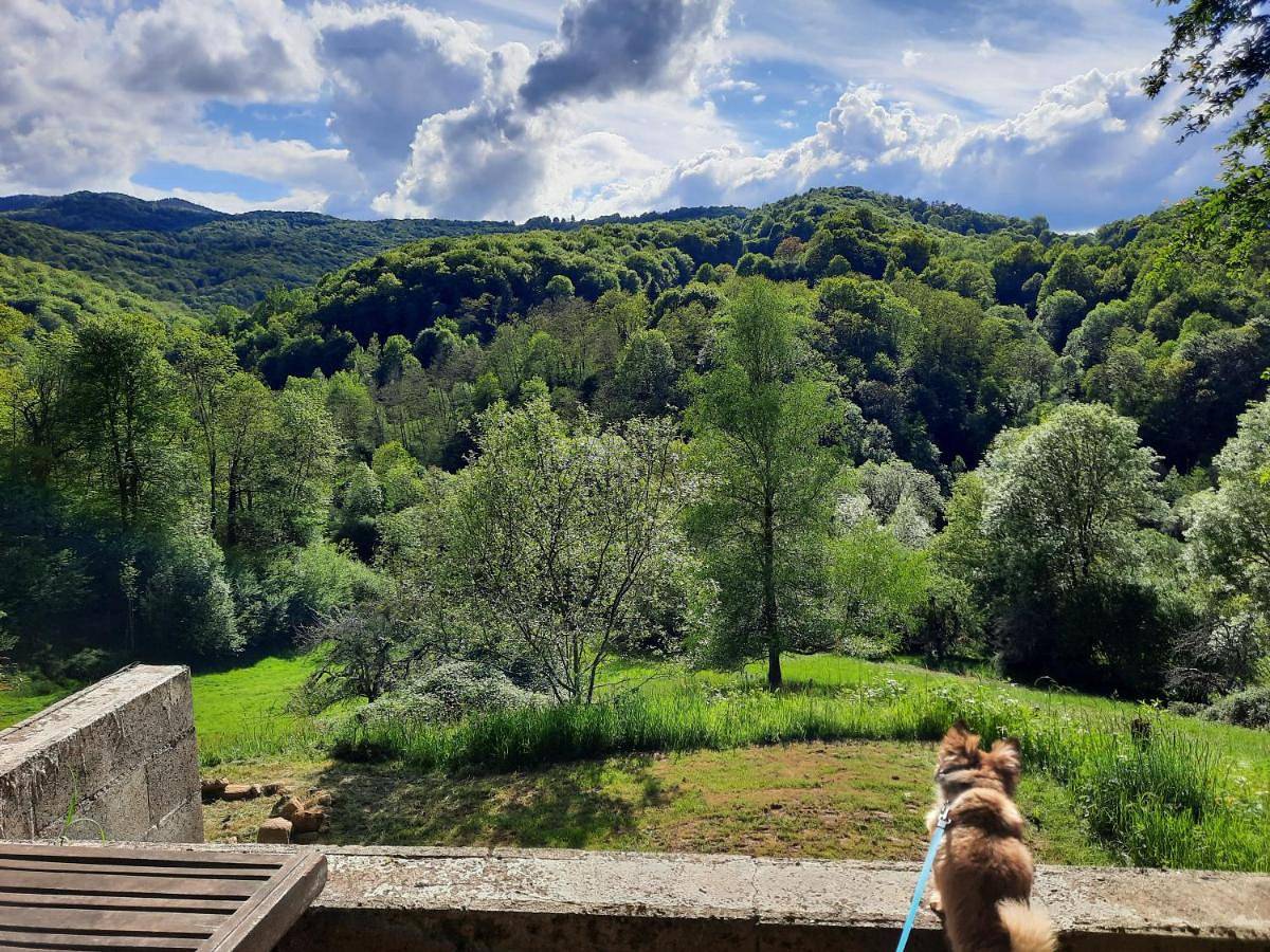 Biert La Coume in Biert, Parc naturel régional des Pyrénées ariégeoises