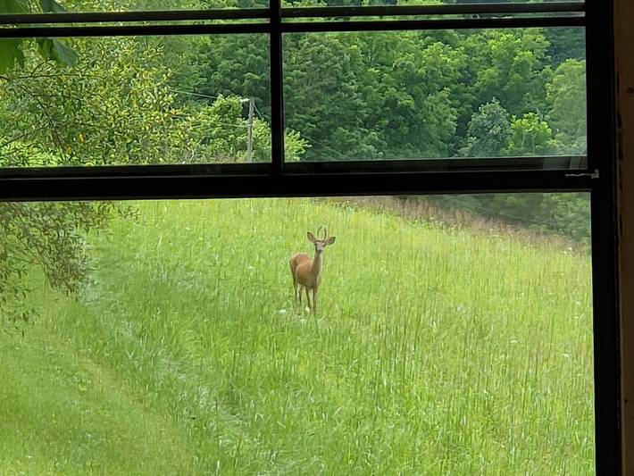 Glamping for 3 people, with terrace, with pets in West Virginia