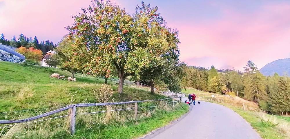 Ferienwohnung für 4 Personen, mit Ausblick und Garten sowie Sauna in St. Lambrecht - 3