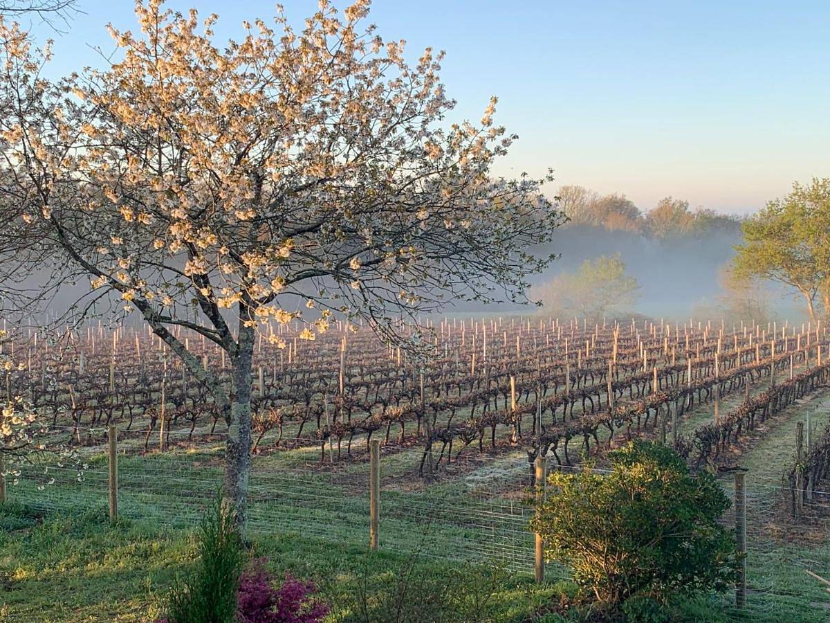 Lauberge de Nogaro in Caupenne-d'Armagnac, Gers