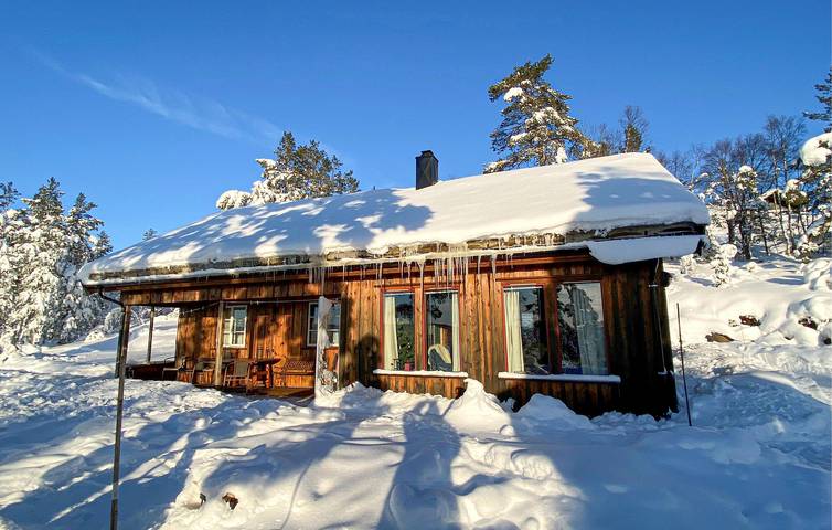 Ferienhaus für 6 Personen mit Terrasse in Åmli