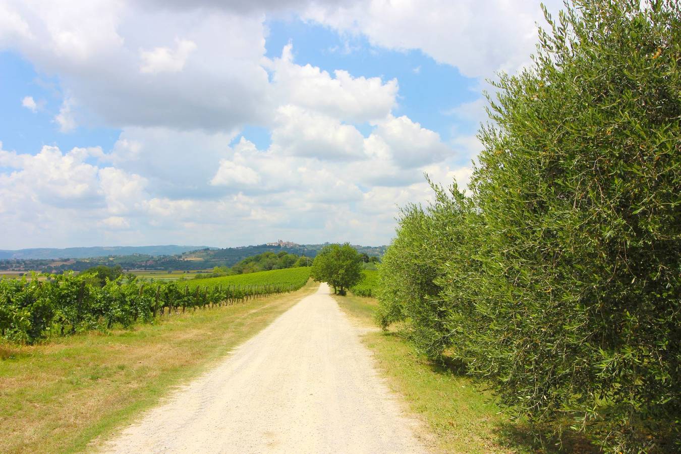 Appartement de vacances entier, Appartement de vacances pour 8 personnes avec jardin in Foiano della Chiana, Province d'Arezzo