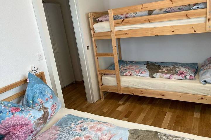 Ganze Wohnung, Chalet Sonne Appartement/Fewo, Dusche, Wc 2-Zimmerwohnung, Dusche, Wc in Rosswald, Brig