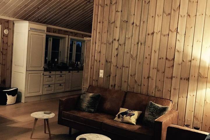 The Cozy Family Mountain Retreat in Trysil