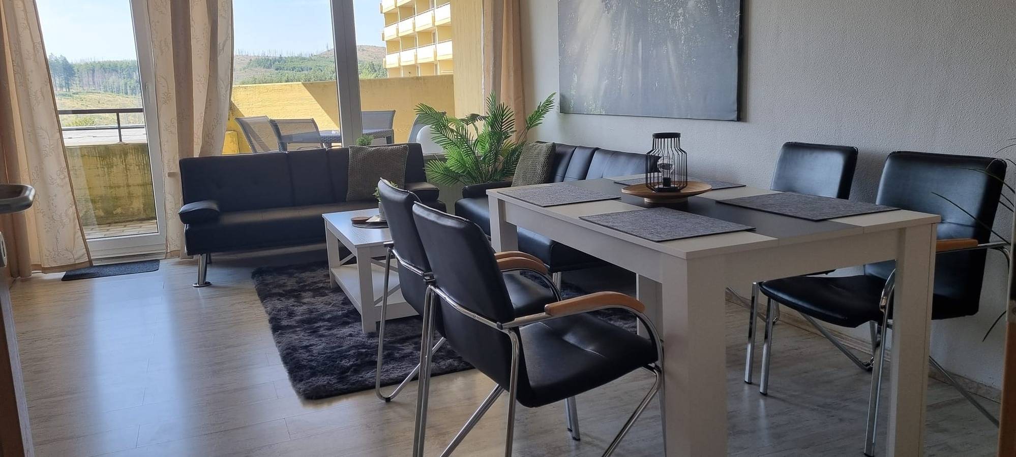 Ganze Ferienwohnung, Apartment 212 in Hohegeiß, Harzvorland