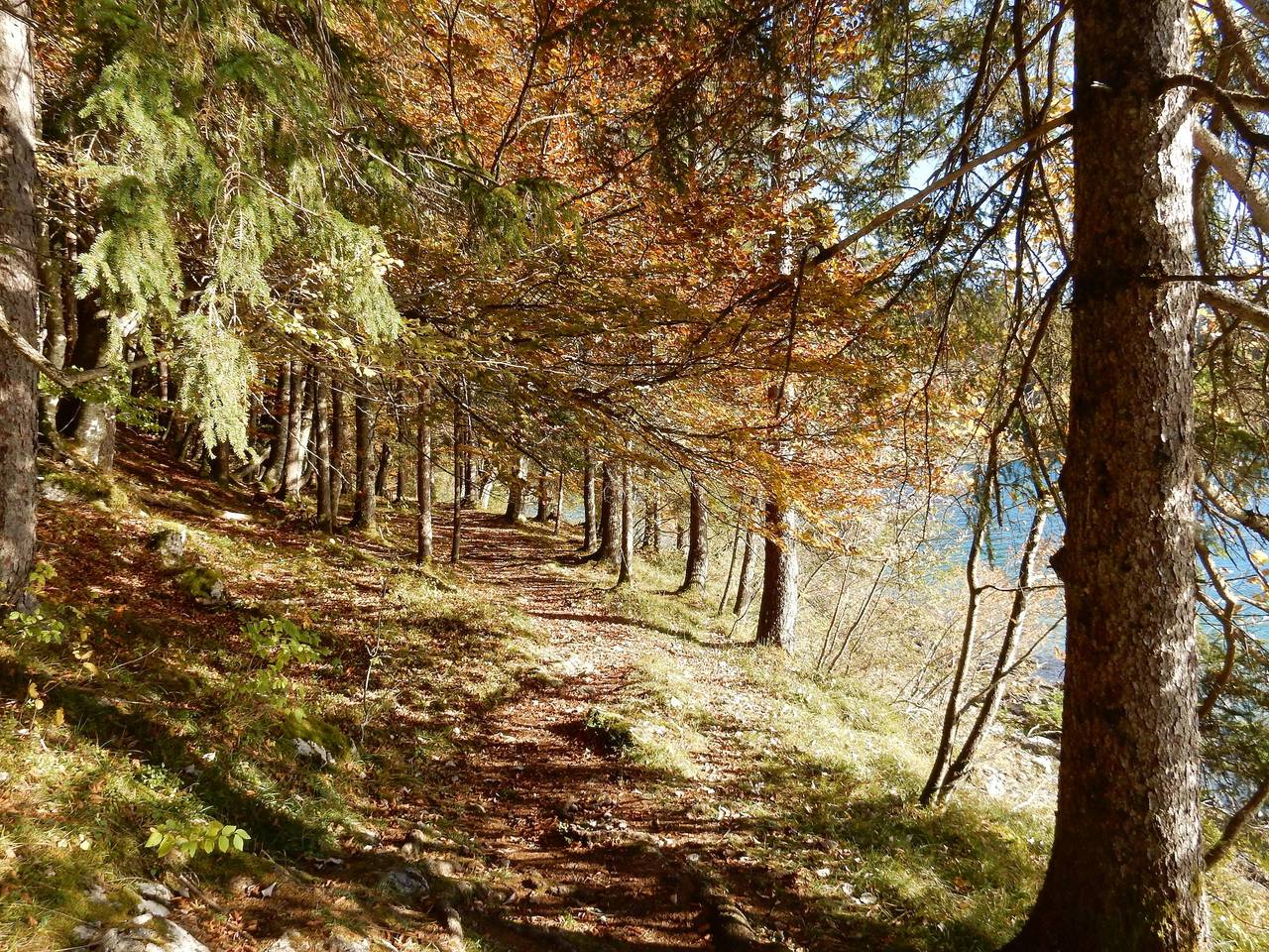 Appartamento intero, Ferienwohnung 1 in Brauneck (Lenggries), Lenggries