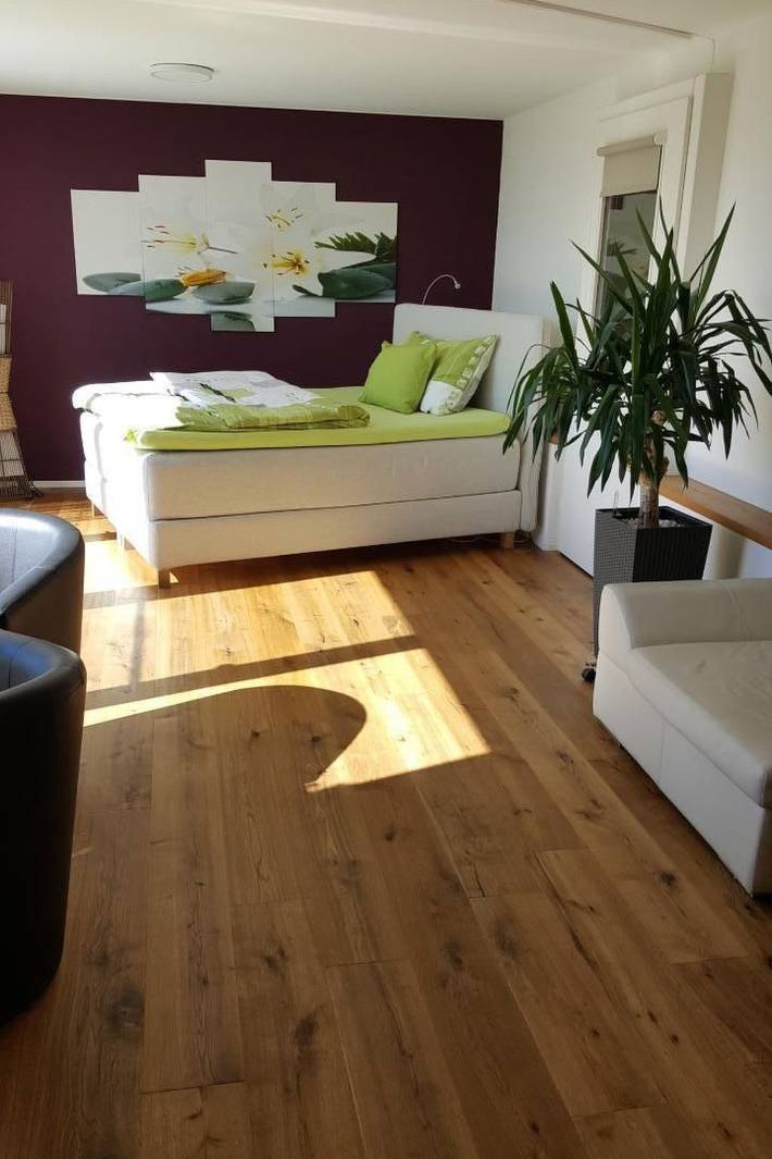 Ganze Wohnung, Moderne Ferienwohnung in Hombrechtikon, Zürich Voralpen