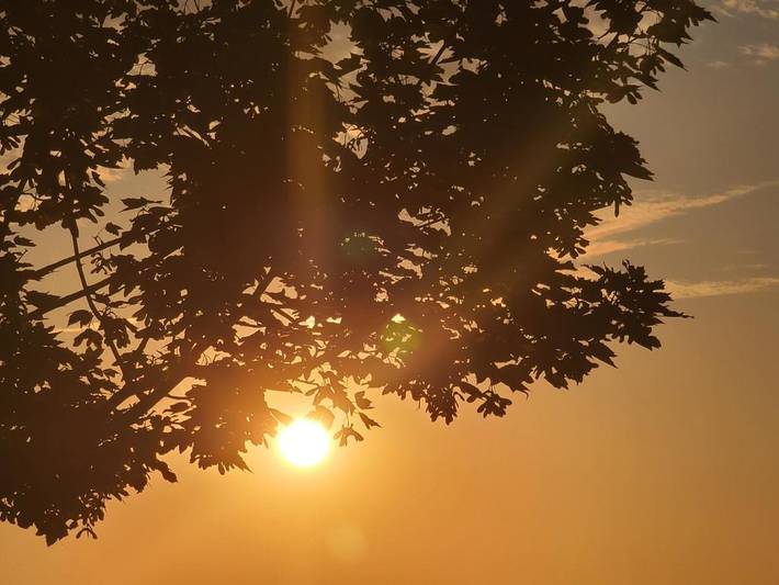 Location de vacances pour 4 personnes, avec jardin et vue à Cabariot - 2