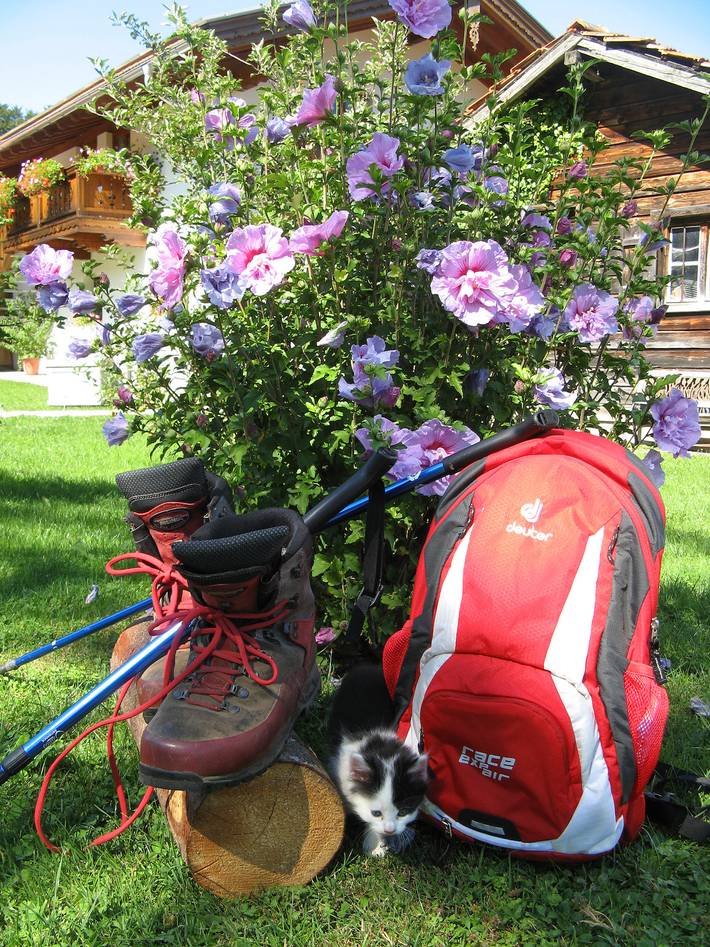Ferienwohnungen Wanderparadies Bauernhof - Ferienwohnung Kampenwandblick 74qm, sep. Schlafzimmer, Balkon, separater Eingang in Hintergschwendt, Aschau im Chiemgau