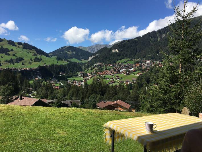 Hütte für 4 Personen, mit Terrasse und Garten in Adelboden - 4