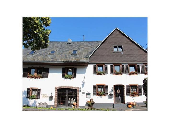 Ferienhaus für 4 Personen, mit Haustier