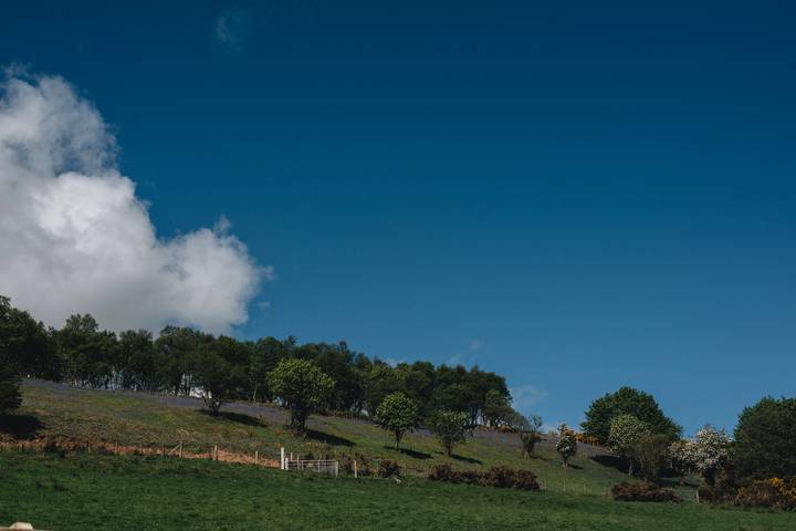 Ferienhaus für 7 Personen, mit Garten, mit Haustier in Nordirland - 4
